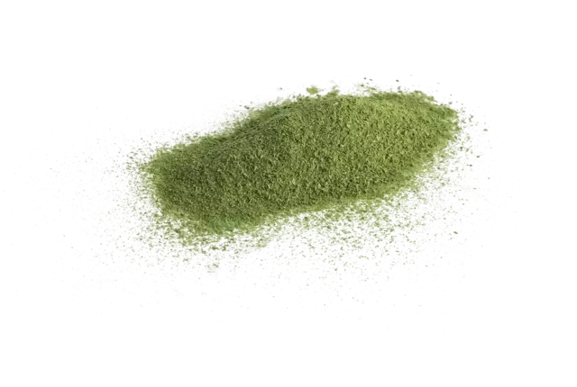 Spinazie poeder gevriesdroogd 30gr stuk